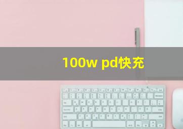 100w pd快充